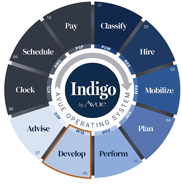 Indigo by Avue Develop Learning Management