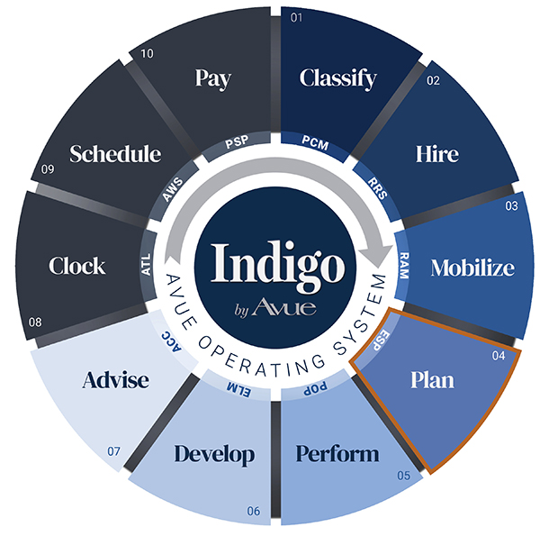 Indigo by Avue Plan Strategic Planning