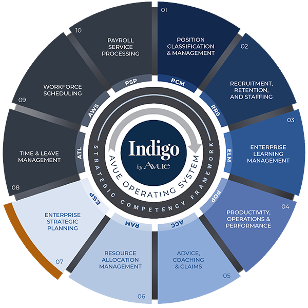 Avue Indigo Enterprise Resource Planning